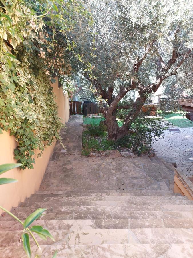 Villa L'Orchidea Capitana Exterior foto